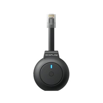 EcoFlow P1 Meter